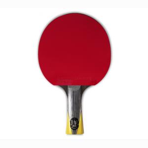 Купить Теннисная ракетка Gambler balsa knight big gun в Тихорецке 